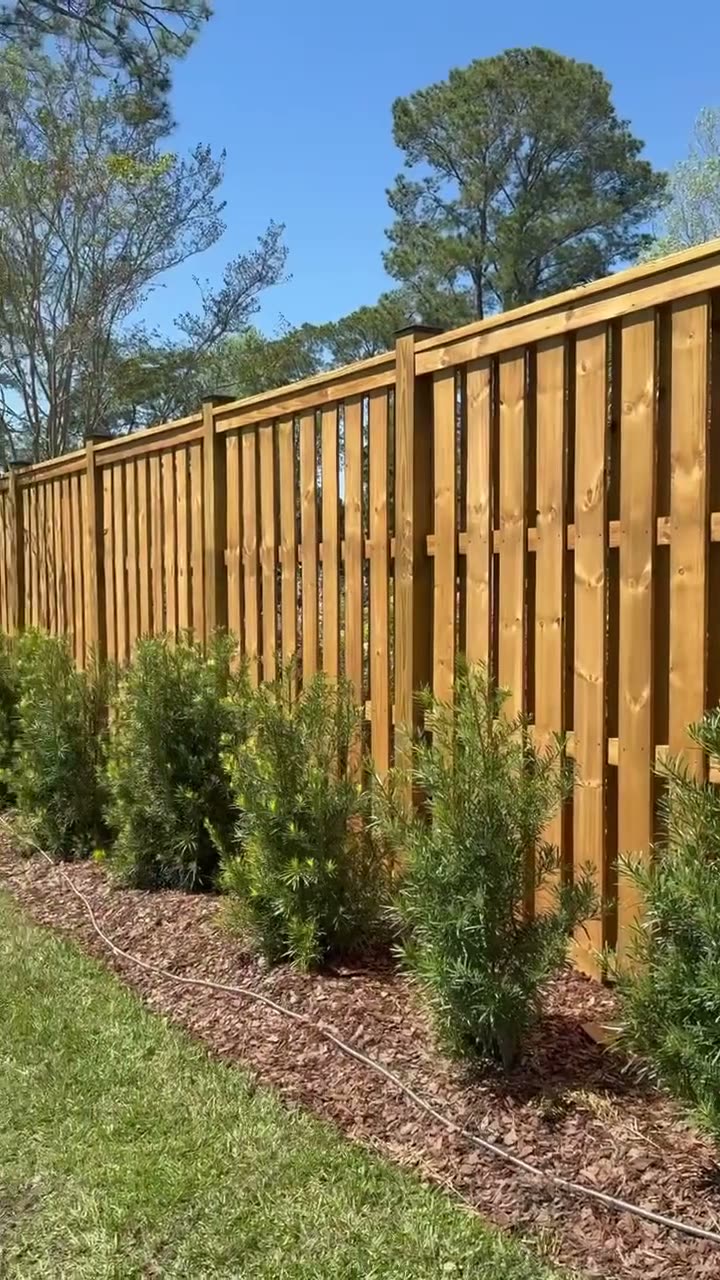 Honey stained shadowbox fence with black post caps running behind a freshly planted row of shrubs and mulch