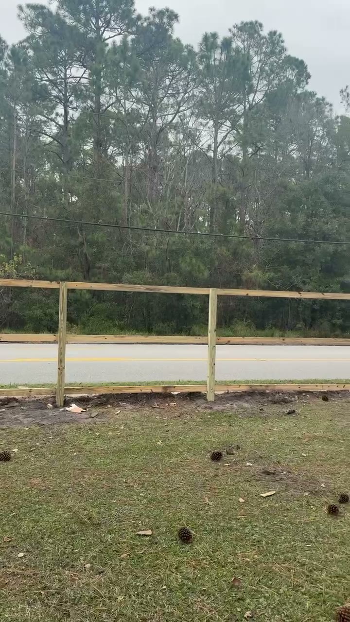 Two rail farm style fence along a roadside lined with tall pines