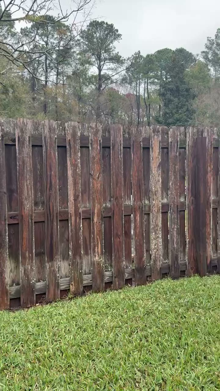 Old dark stockade fence showing rot and discoloration before removal